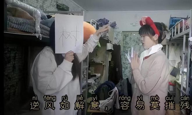 《红楼梦》网友：这比胡玫导演得还高级k8凯发一触即发女大学生“胡导胡演”